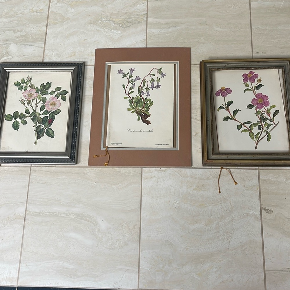 Vintage Olympic Airways Inaugural Floral Art Menues (3) for New BOEING 727/200s